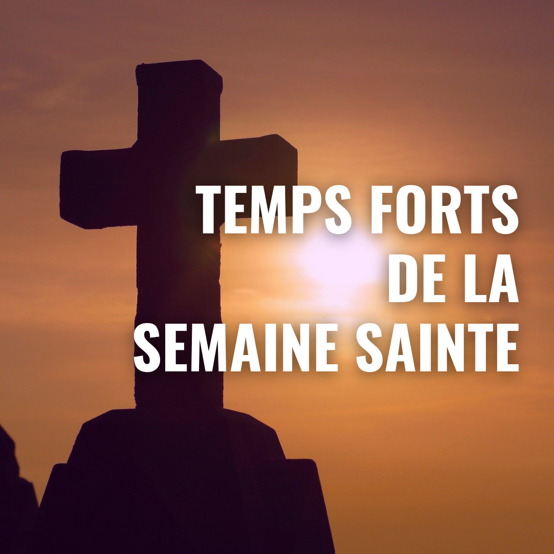 Temps-forts_facebook (Publication Facebook (carré))